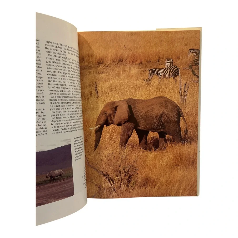Elephants A Portrait of the Animal World Leonard Lee Rue III 1994 Coffeetable Bk